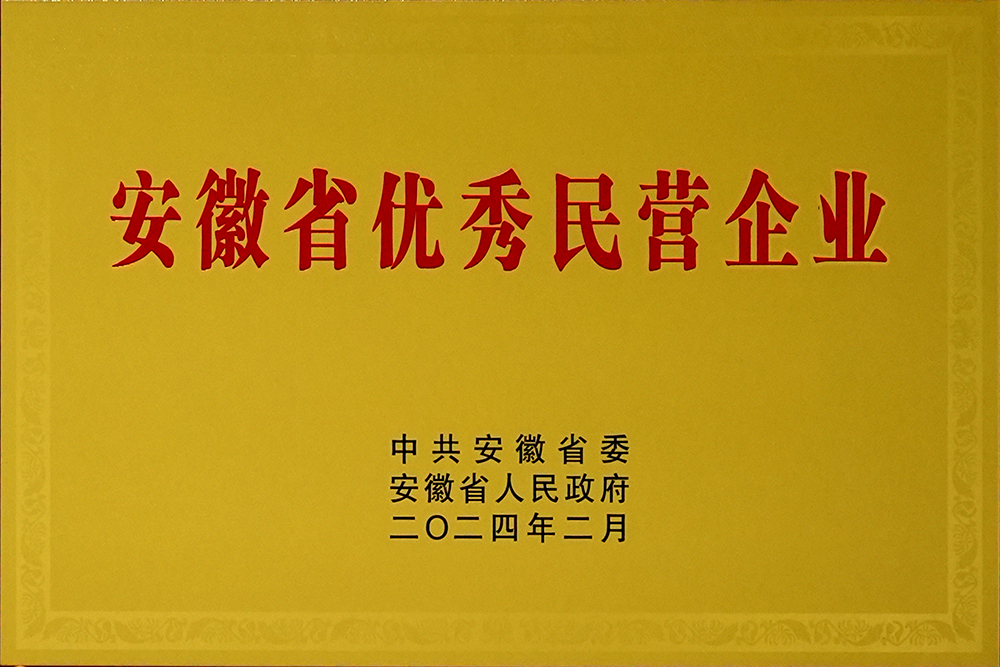 安徽省新春**會，豪家股份榮獲“安徽省百名優(yōu)秀民營企業(yè)”稱號